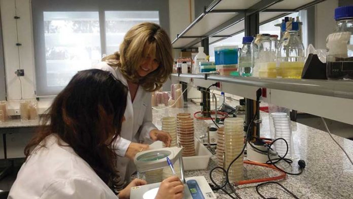 123_secciones_universidad