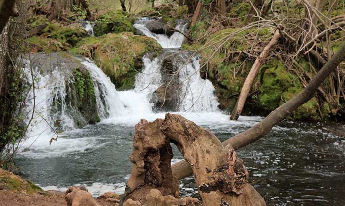 juan antonio narro viajes juan antonio narro viajes