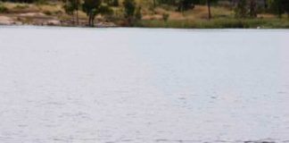 Elena Ayuso regata Judex