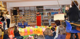 bibliotecas diputacion de caceres