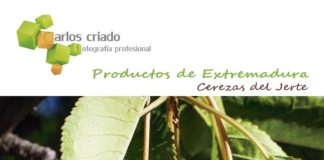 Grada 127. FotoExtremadura