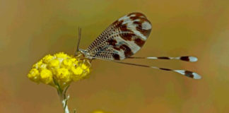 Concurso para elegir las imágenes del calendario de Caja Rural de Extremadura