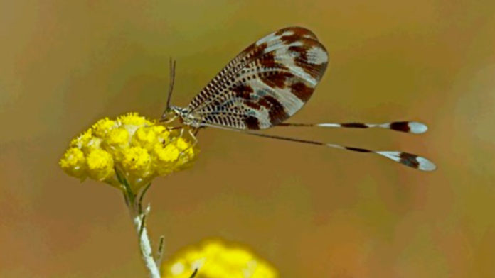 20181008_concurso_cajarural Concurso para elegir las imágenes del calendario de Caja Rural de Extremadura