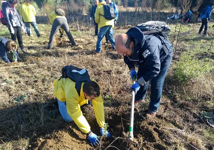 20181105_voluntariado_prosegur Mes del Voluntariado de la Fundación Deporte & Desafío y de la Fundación Prosegur