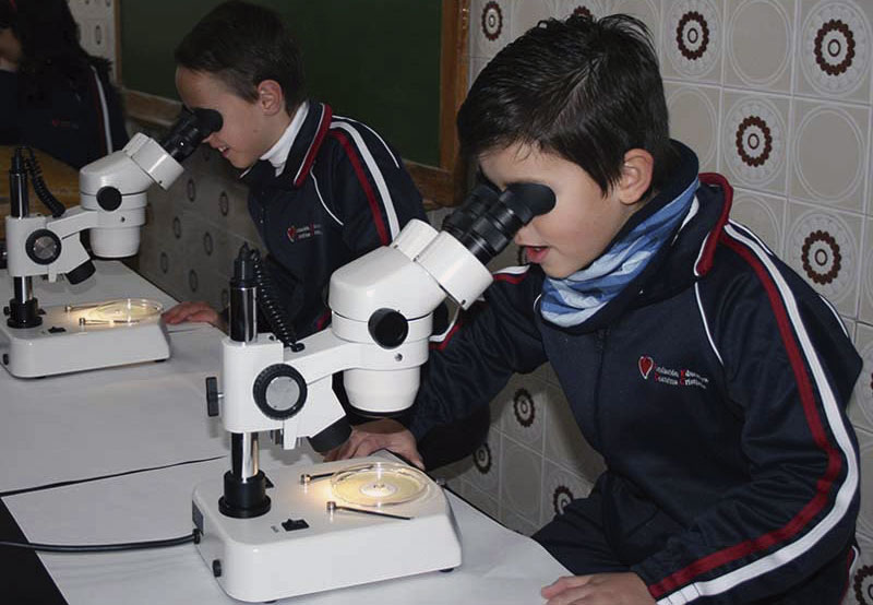 II Semana de la Ciencia y la Tecnología en Extremadura. Grada 129. Universidad de Extremadura