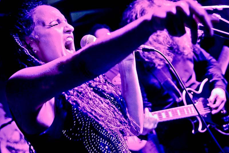 'Dalmatian's Hits' se presenta en sociedad