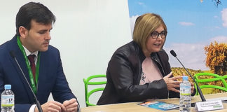 La provincia de Cáceres presenta en Fitur su amplia oferta de turismo sostenible