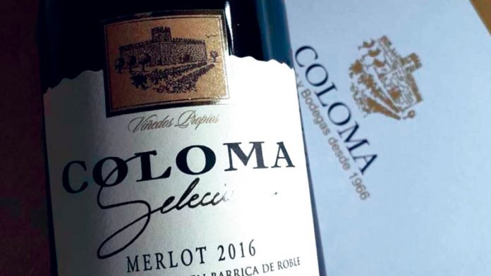 131_secciones_enologia1 Merlot Selección 2016, de Bodegas Coloma. Grada 131. Enología