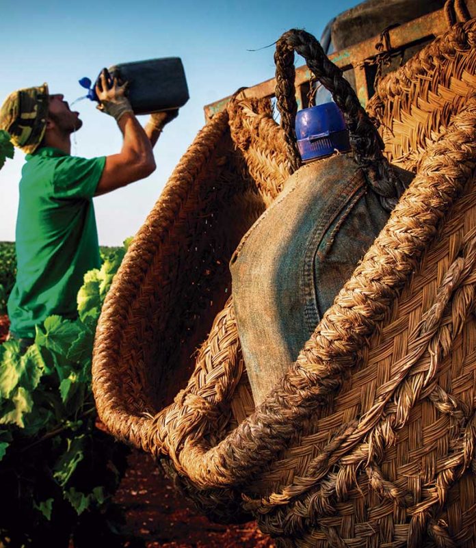 131_secciones_fotografia