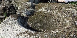 El altar de sacrificios del Pradillo de Trujillo. Grada 131. Historia