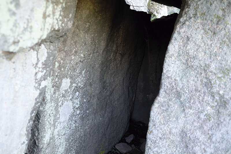 El altar de sacrificios del Pradillo de Trujillo. Grada 131. Historia