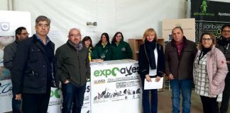 La inserción laboral del alumnado de las Escuelas Profesionales de Extremadura supera de media el 70%. Grada 131. Sexpe