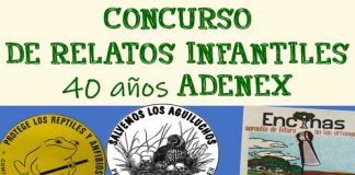 Adenex organiza un concurso de relatos infantiles con motivo de su LX Aniversario