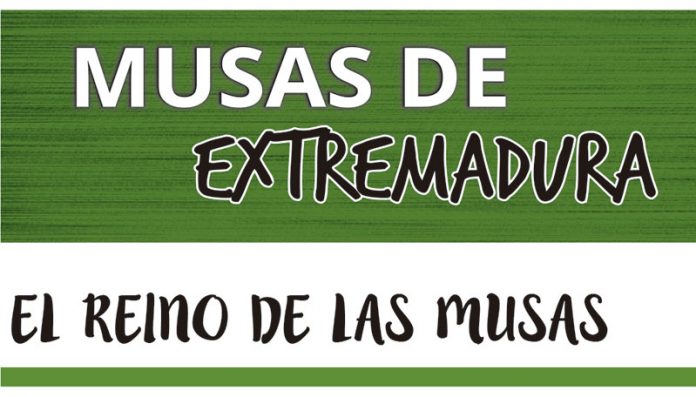 132_secciones_musas_musas Maridaje sonoro. Grada 132. Musas de Extremadura