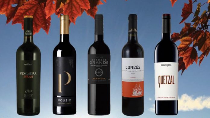 132_secciones_enologia1 Vidigueira Winelands. Grada 132. Enología