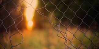 Rompiendo los límites. Grada 133. Álvaro Roa