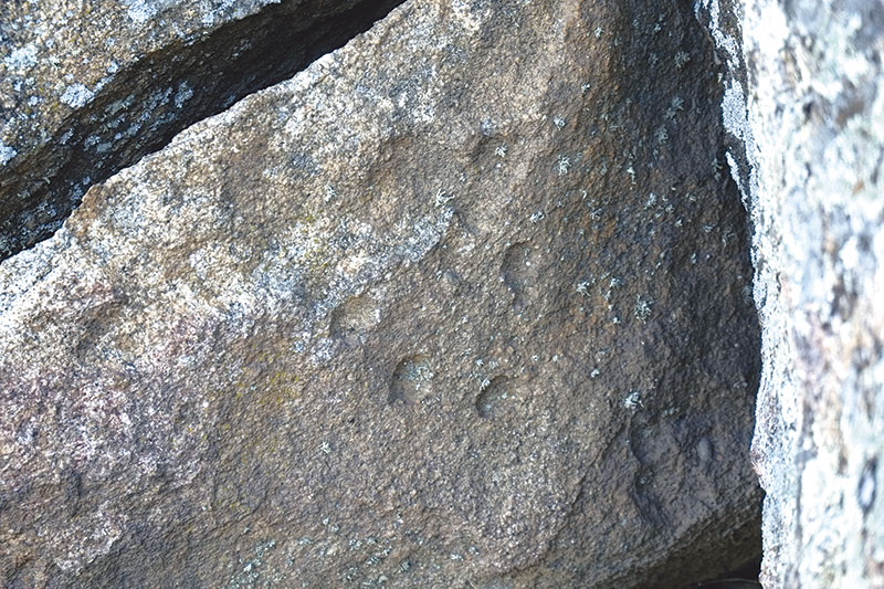 Altares sacros en poblados de la Sierra de Santa Cruz de Cáceres. Grada 133. Historia