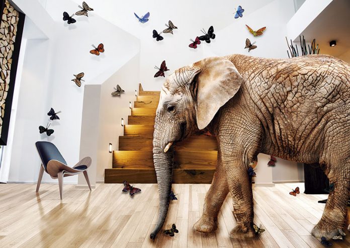 133_secciones_psicologia El elefante en la habitación. Grada 133. Amparo García Iglesias