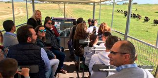 La Asociación Extremeña de la Empresa Familiar celebra una jornada de convivencia