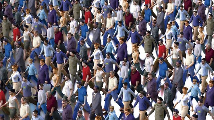 134_secciones_energiapositiva