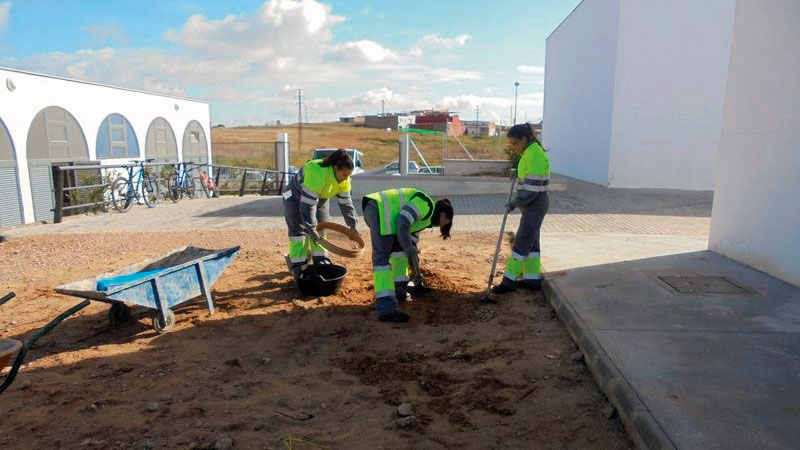 La Consejería de Educación y Empleo destina 29 millones de euros para el programa de las Escuelas Profesionales. Grada 134. Sexpe