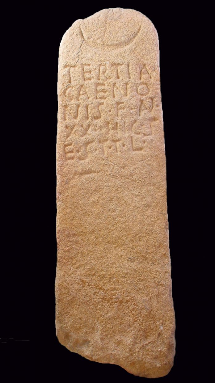 135_secciones_arqueologia