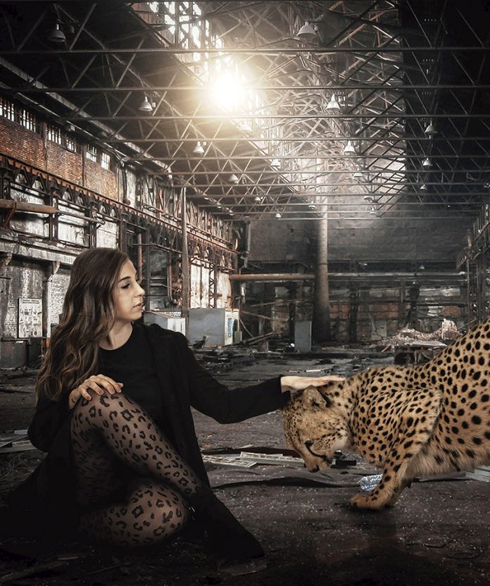 135_secciones_fotografia 'Mi yo animal'. Grada 135. Fotografía