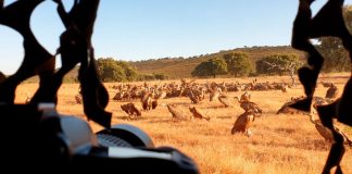 Ocho blogueros y fotógrafos especializados viajan por la provincia de Cáceres para conocer el Tajo Internacional
