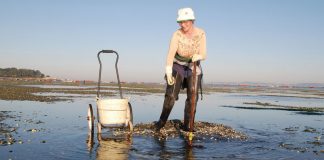 Galicia. Grada 136. Tobias Büscher