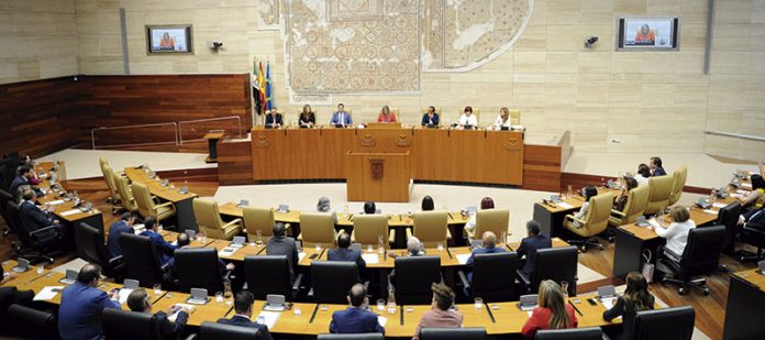 136_secciones_asamblea La Asamblea de Extremadura inicia la X Legislatura. Grada 136