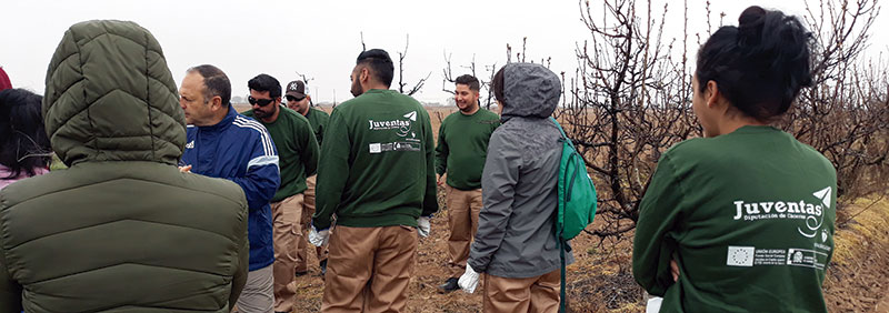 La Diputación de Cáceres desarrollará tres proyectos del Programa Operativo de Empleo Juvenil del Fondo Social Europeo. Grada 136