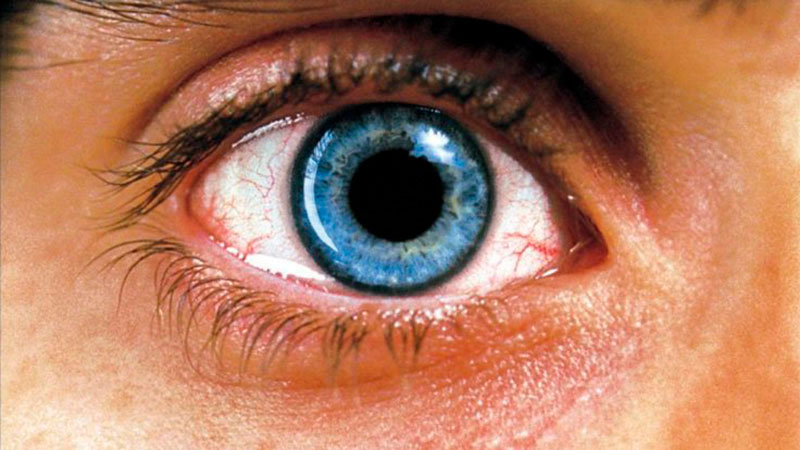 'Réquiem for a dream', tendencia en experiencia inmersiva