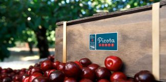 Las picotas del Jerte con Denominación de Origen Protegida llegan a distintos puntos de venta de España