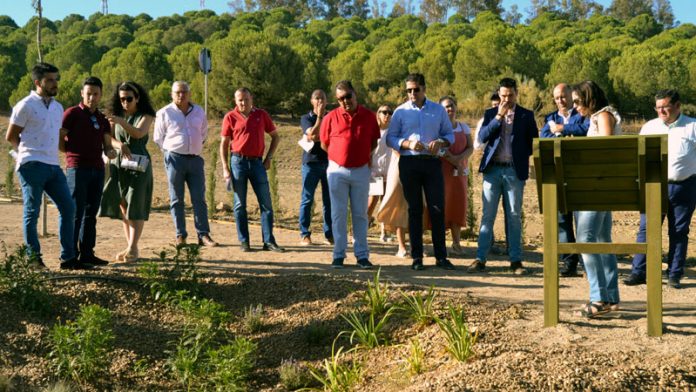 20190804_parque_valverde La Diputación de Badajoz crea en Valverde de Leganés el primer jardín adaptado al cambio climático