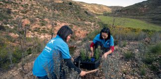CaixaBank reduce sus emisiones de gases de efecto invernadero un 75% en diez años