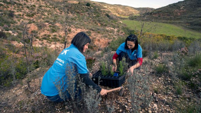 20190901_bancos_caixabank CaixaBank reduce sus emisiones de gases de efecto invernadero un 75% en diez años