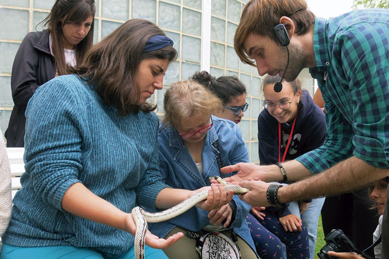 La Rucab acoge el campamento de conciliación familiar de Plena inclusión Extremadura. Grada 137. Fundación CB