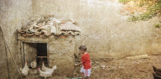 La Diputación de Cáceres da a conocer los ganadores del Premio fotográfico ‘Señas de identidad’